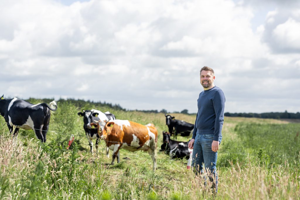 Joachim Duin auf einer Weide mit Rindern